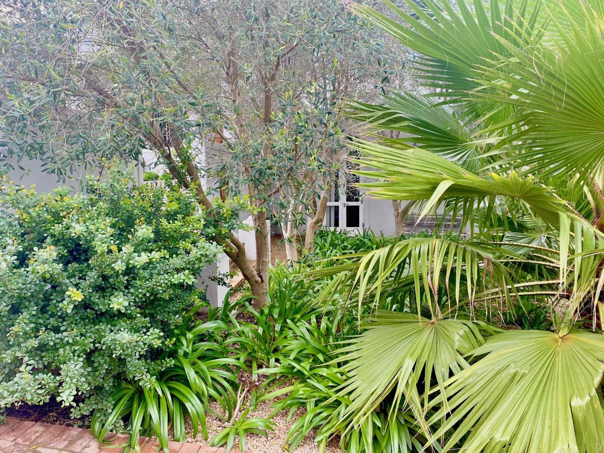 1 Royal Street Guesthouse Riebeek-Kasteel Buitenkant foto