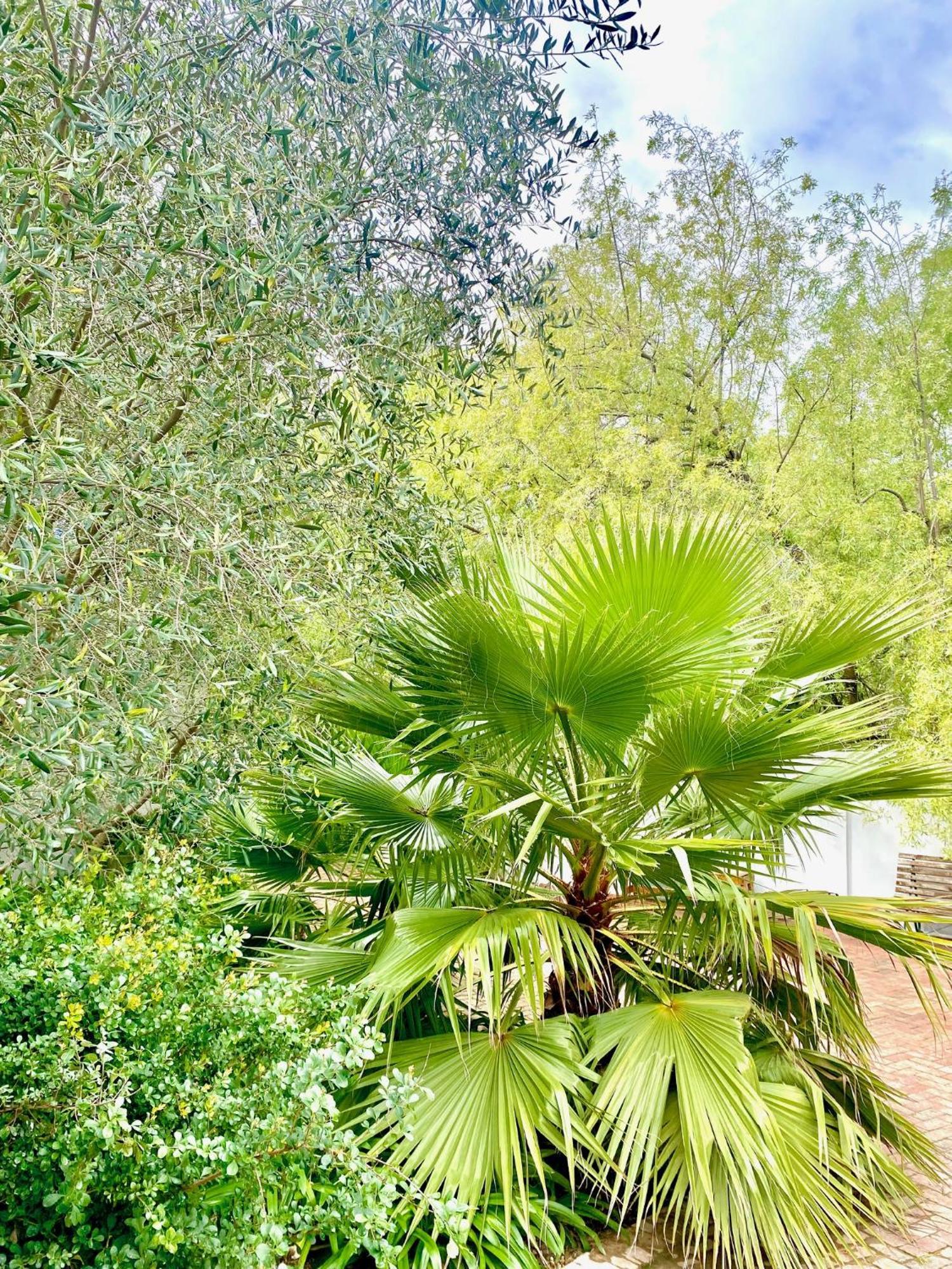 1 Royal Street Guesthouse Riebeek-Kasteel Buitenkant foto