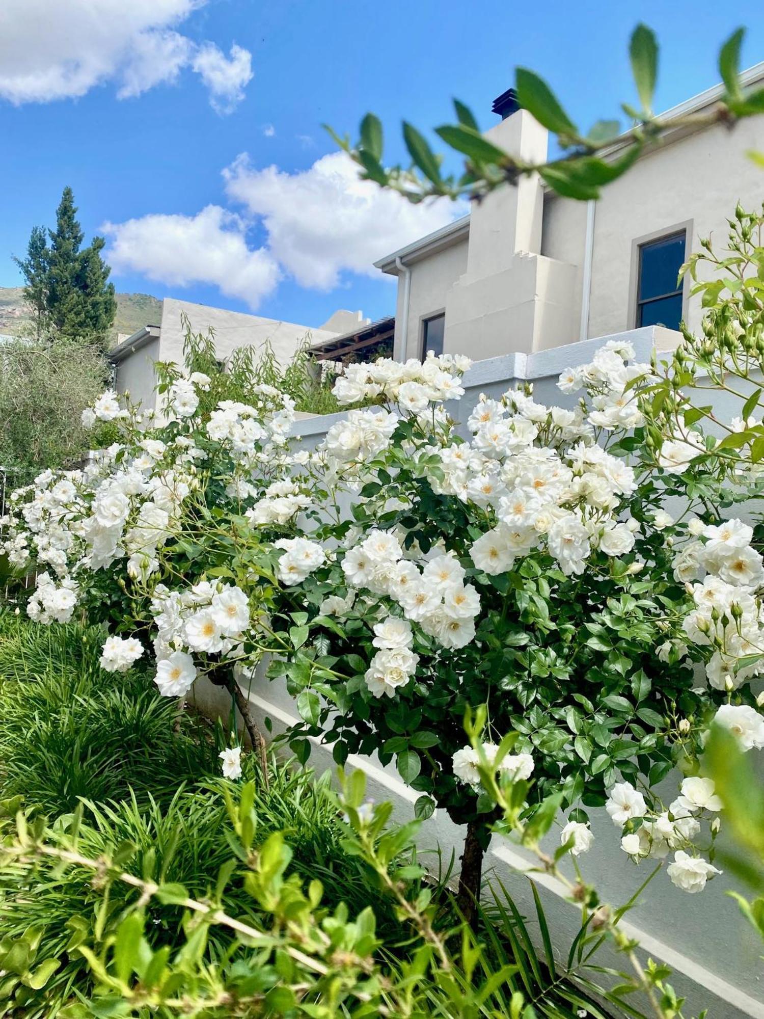 1 Royal Street Guesthouse Riebeek-Kasteel Buitenkant foto