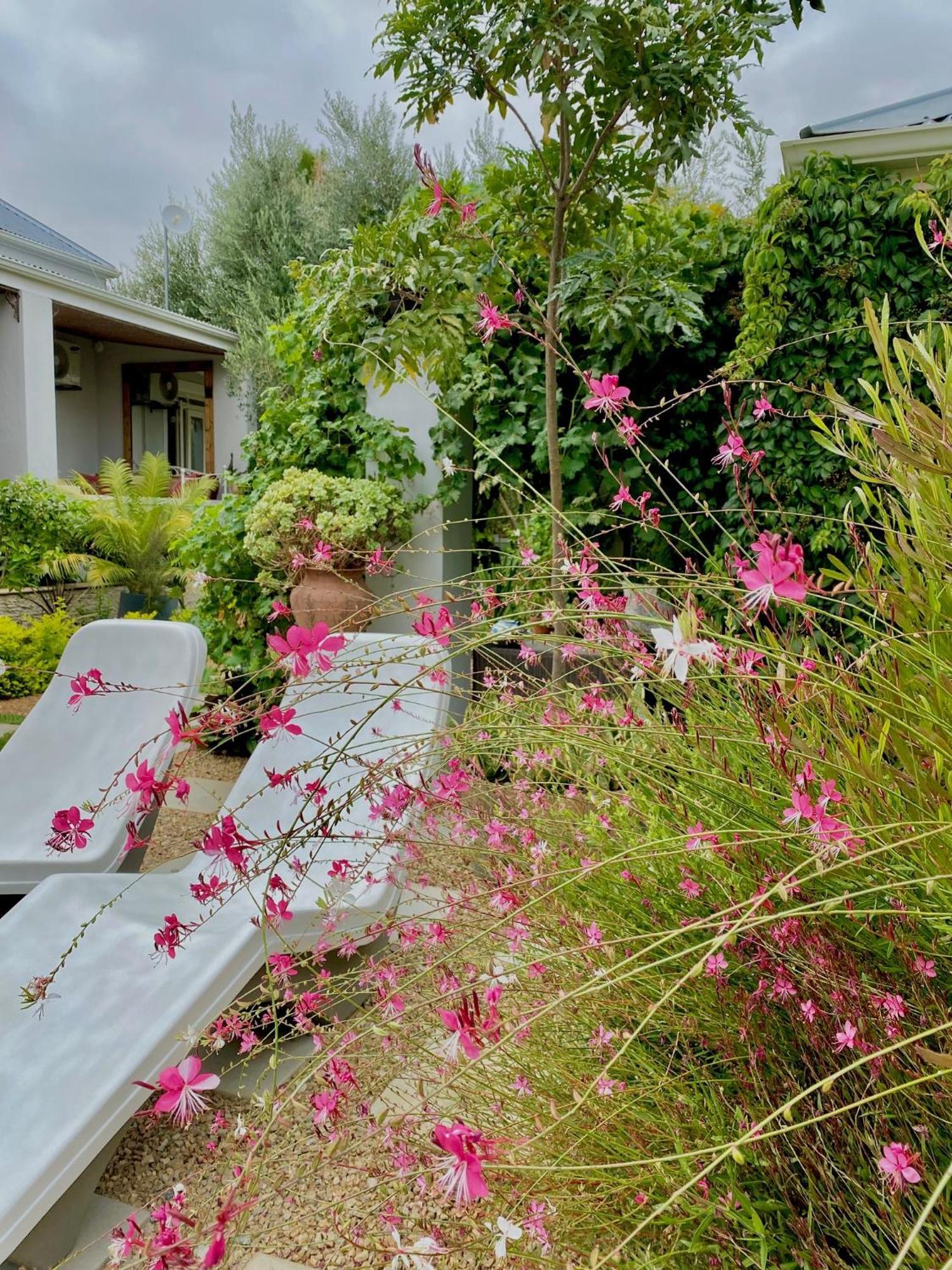 1 Royal Street Guesthouse Riebeek-Kasteel Buitenkant foto