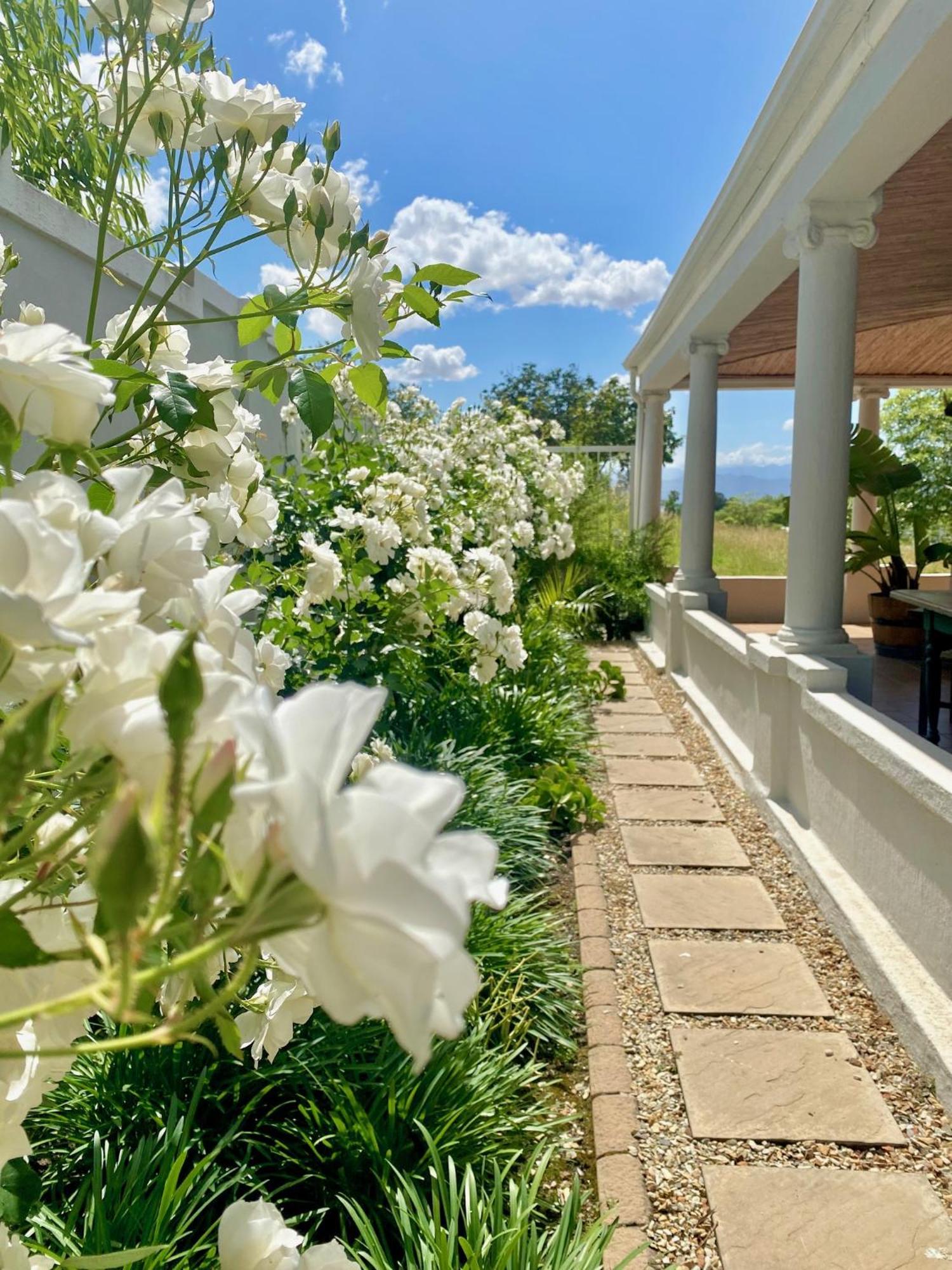 1 Royal Street Guesthouse Riebeek-Kasteel Buitenkant foto