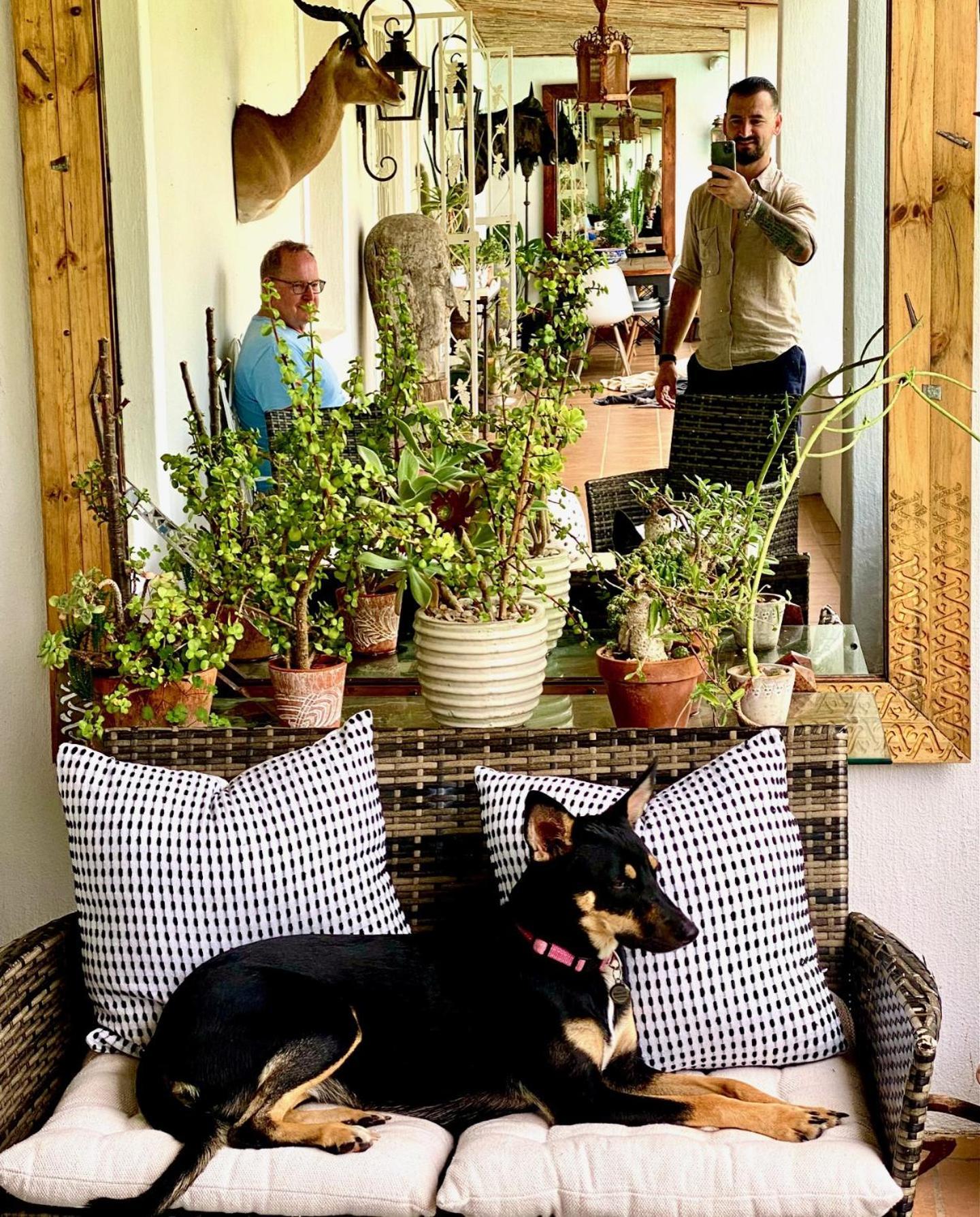 1 Royal Street Guesthouse Riebeek-Kasteel Buitenkant foto