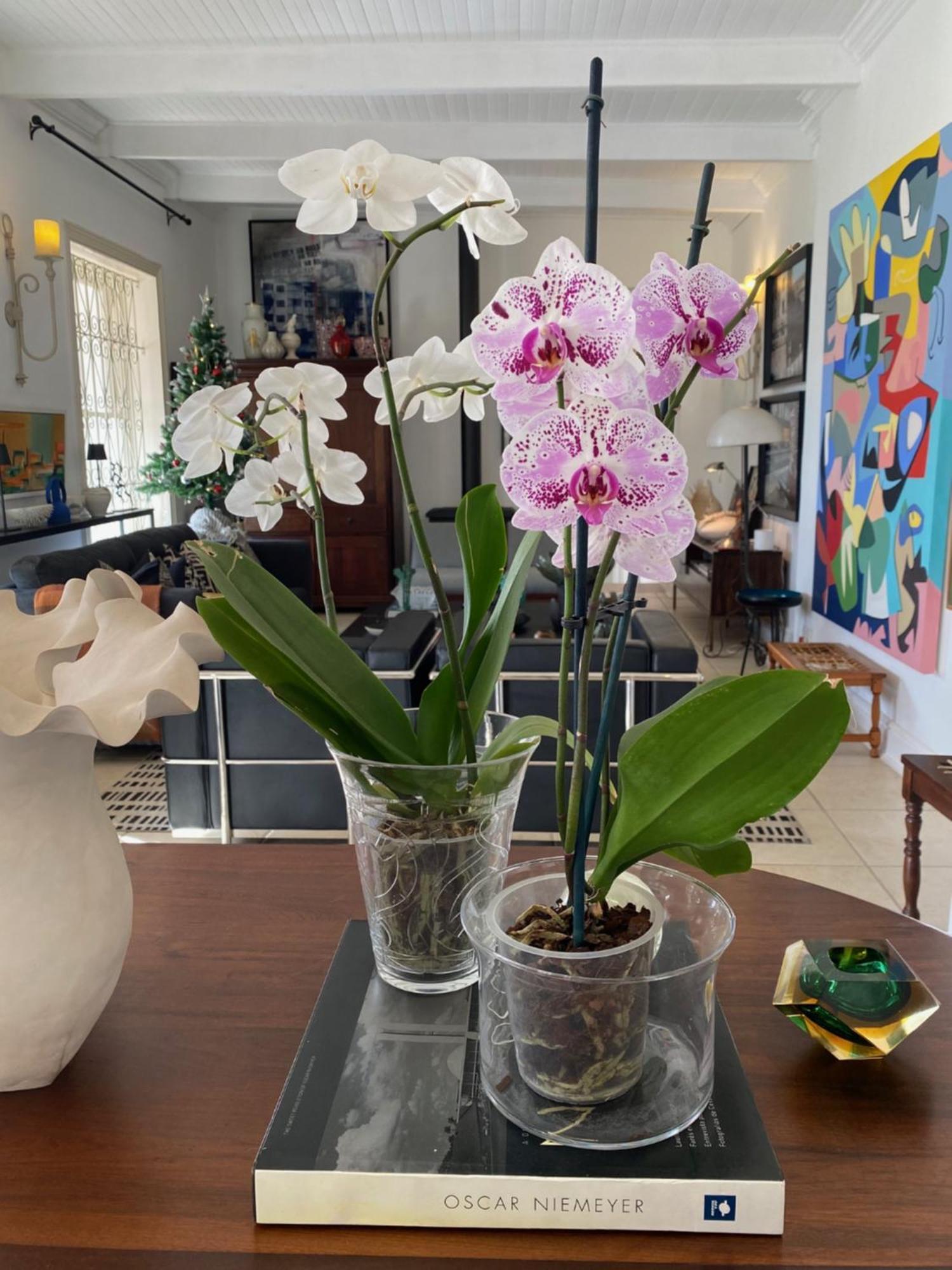 1 Royal Street Guesthouse Riebeek-Kasteel Buitenkant foto