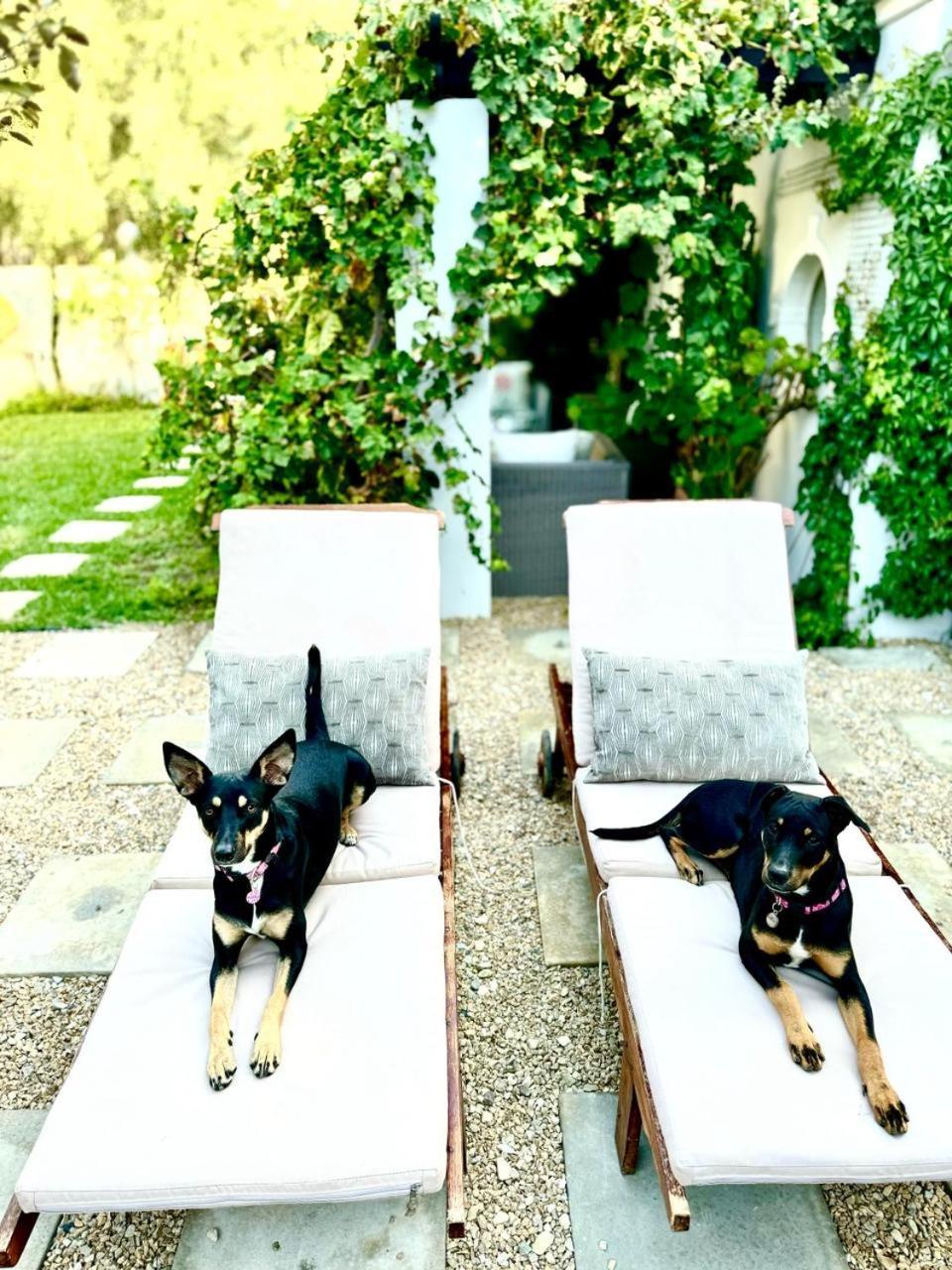 1 Royal Street Guesthouse Riebeek-Kasteel Buitenkant foto